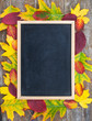 Herbstlaub