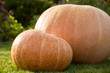 big and small pumpkins