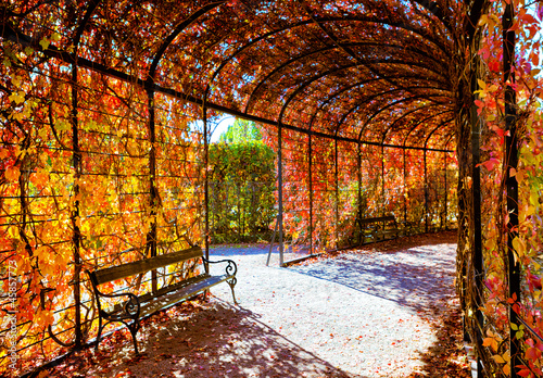 Photo: Deep red plant tunnel with autumn leafs Deep red plant tunnel with autumn leafs