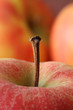 Apfel