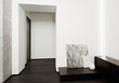 Modern minimalism style hall interior in black and white tones
