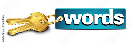 Vector: Key Words - key to successful website optimization in meta data Key Words - key to successful website optimization in meta data