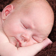 Photo: Cute little Newborn Baby boy posing for camera Cute little Newborn Baby boy posing for camera