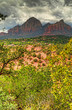 Sedona Storm