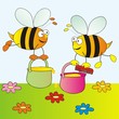 bees