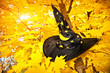 Witch hat on Halloween