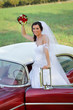 Photo: Wedding, bride on vintage car wave with bouquet Wedding, bride on vintage car wave with bouquet