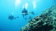 Peaceful underwater observers
