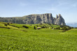 Alpe di Siusi - Gruppo dello Sciliar in estate