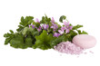 with wild mallow flowers