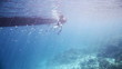 Scuba divers resting at their boat with schools of fish