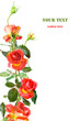 Photo: rose frame rose frame
