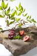 Photo: Beeren auf Stein Beeren auf Stein