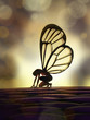 fairy butterfly