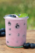 Heidelbeer-Joghurt