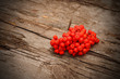 Bunch of red rowan on wooden texture