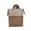 Hiding in a Box
