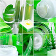 Photo: Spa ingredients and plants in tones of green Spa ingredients and plants in tones of green