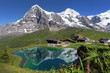 Swiss Alps Landscape