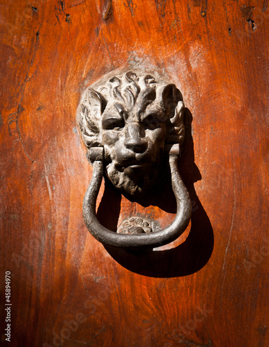Photo: Doorknocker with head of lion Doorknocker with head of lion