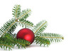 schlichte rote Weihnachtskugel mit Tannenzweig