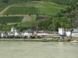 Weinberge am Rhein
