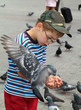 Boy is feeding the birds