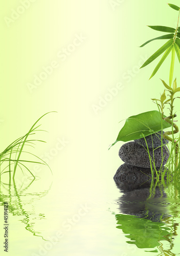 Photo: décor nature bambou, herbe, feuille sur galets décor nature bambou, herbe, feuille sur galets