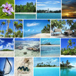 tropical paradise