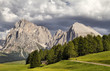 Alpe di Siusi - Sasso Lungo e Sasso Piatto in estate in HDR