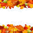 Vector: Vector autumn background with fall leaf Vector autumn background with fall leaf