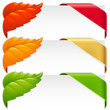 Corner ribbons and fallen leaf vector set