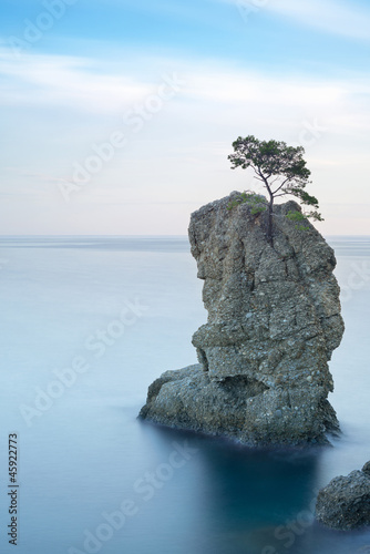 Photo: Portofino park. Pine tree rock.Long exposure. Liguria, Italy Portofino park. Pine tree rock.Long exposure. Liguria, Italy