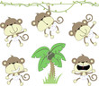 baby monkeys set