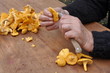 girolles