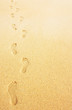 footprints in the sand background