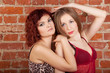 Two models pose, hug near brick wall in photo studio