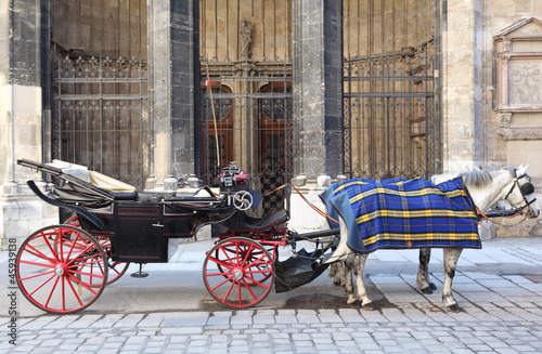 Photo: Two horse in cape with open cart on pavement street Two horse in cape with open cart on pavement street