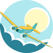 Plane in the sky