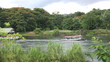 Floating Restaurant Being Tugged Upstream