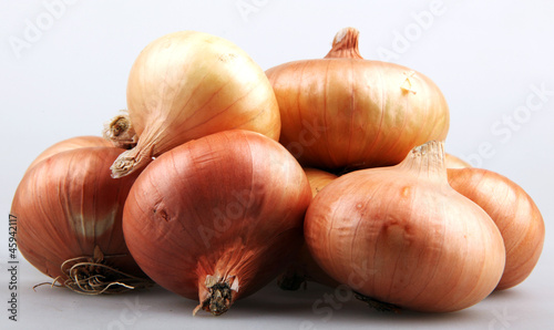 Photo: onion onion