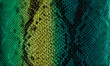 Leather texture closeup for background and design works