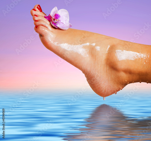 Photo: wet foot with flower of orchid wet foot with flower of orchid