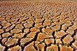 Dry Land