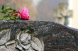Grabstein mit Rose