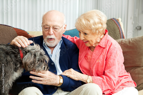 Photo: Senior Couple - Dog Lovers Senior Couple - Dog Lovers