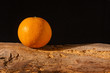 Orange auf dem Bauernhof