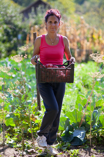 Photo: Young farmer woman holding a box in the countryside Young farmer woman holding a box in the countryside