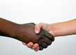 Freundschaft