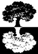 Two black and white trees. Vector